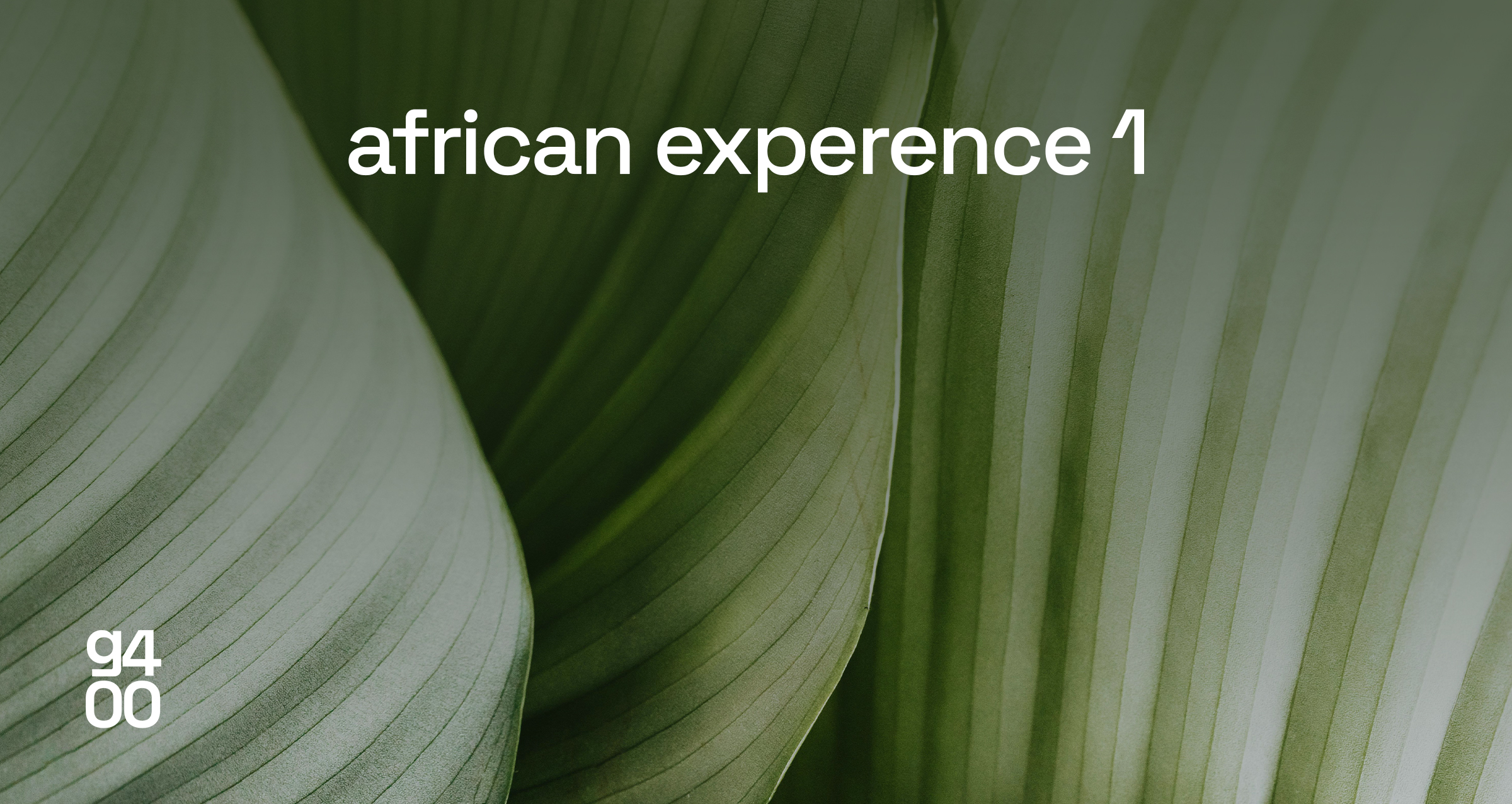 African Experience Vol 01 Mix Cover