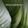 African Experience Vol 01'c Cover