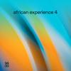African Experience Vol 04'c Cover