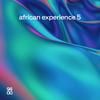African Experience Vol 05'c Cover